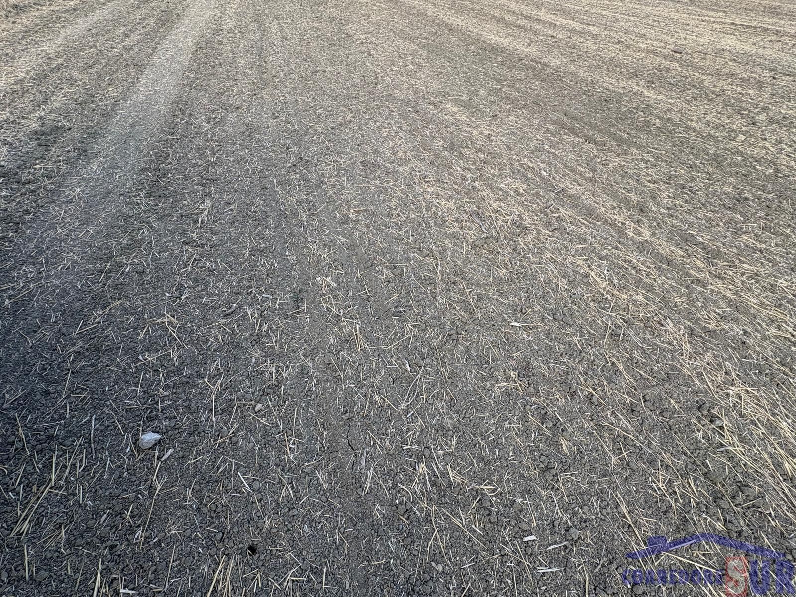 Finca rústica en venda en Villafranca de Córdoba