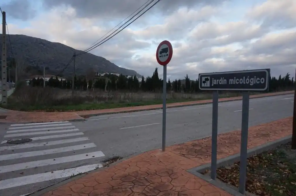 Terreny rústic en venda a C/ Batán, imagen 10