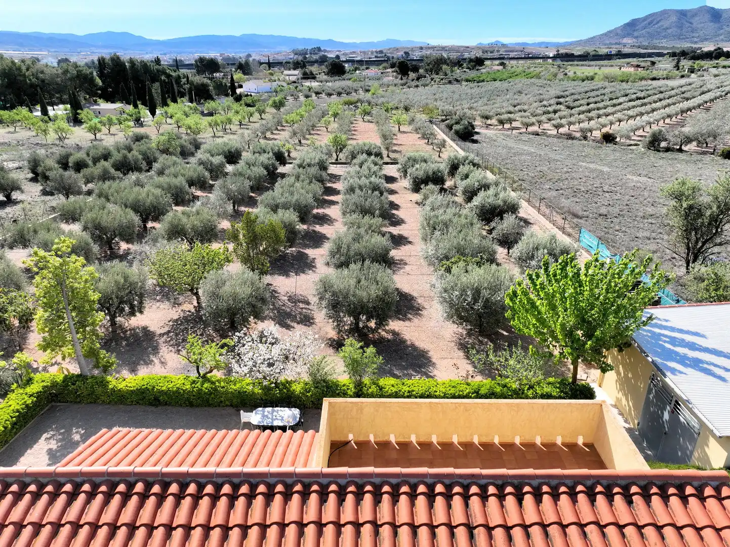 Jardí de Casa o xalet en venda en Caudete amb Terrassa