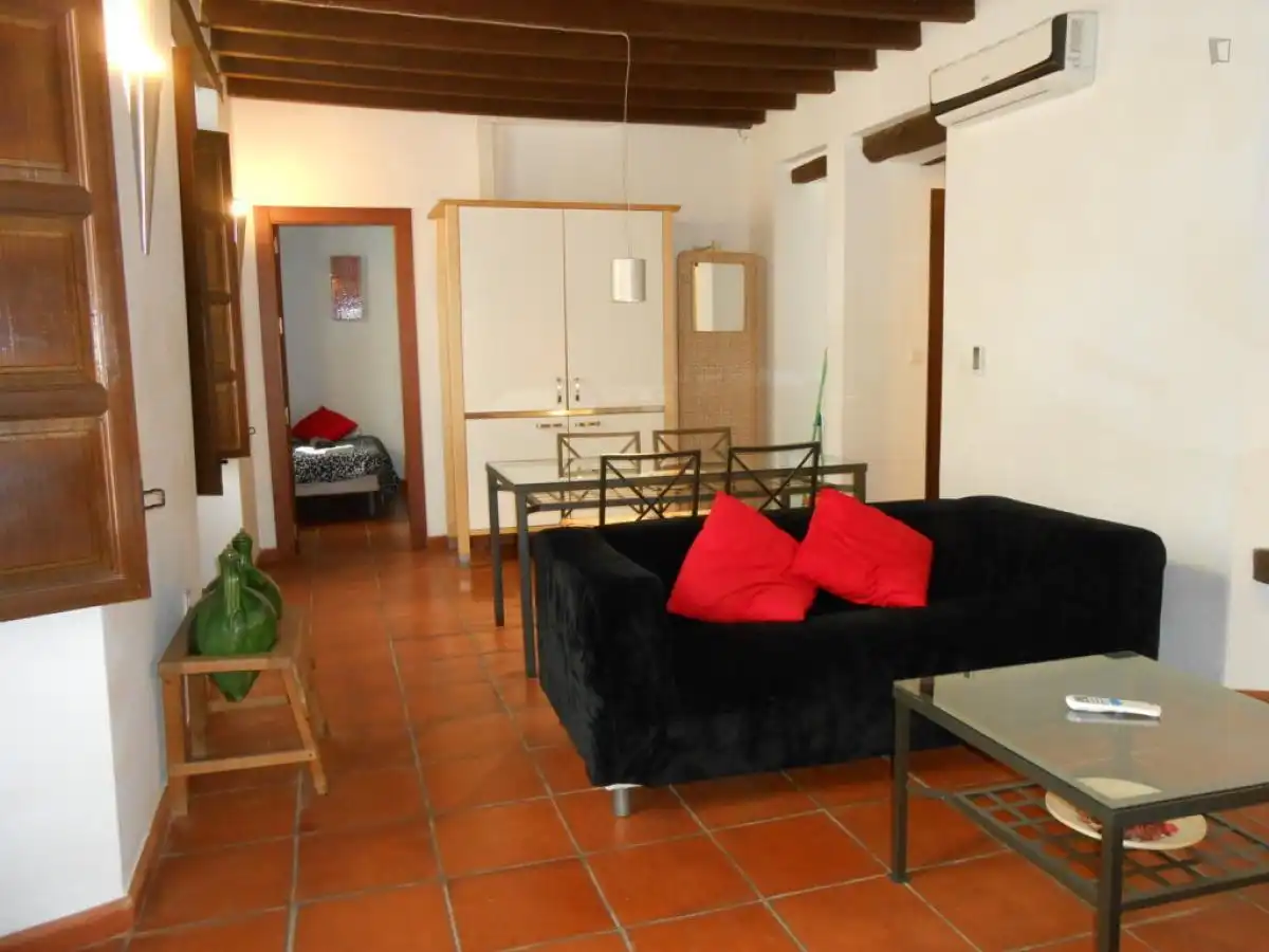 Apartments for rent in Centro - Sagrario