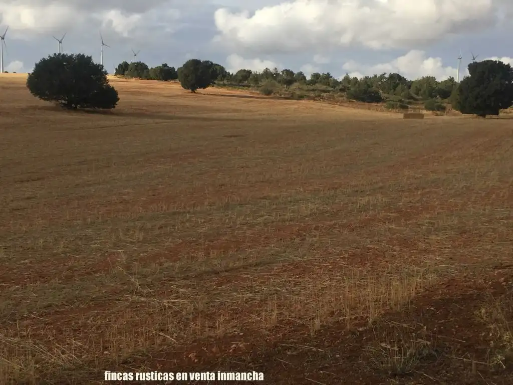 Terreni e lotti in vendita a Munera, imagen 19