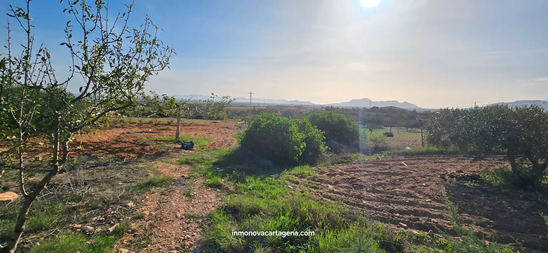 Finca rústica en venda en Cartagena amb Jardí privat