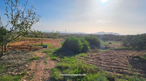 Foto 4 de Finca rústica en venda a La Magdalena - Molinos Marfagones, Murcia