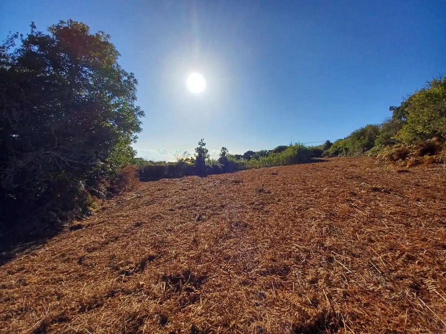 Terrenys i solars en venda a La Esperanza - Llano del Moro, imagen 4
