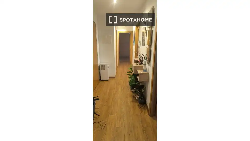Room in Museros