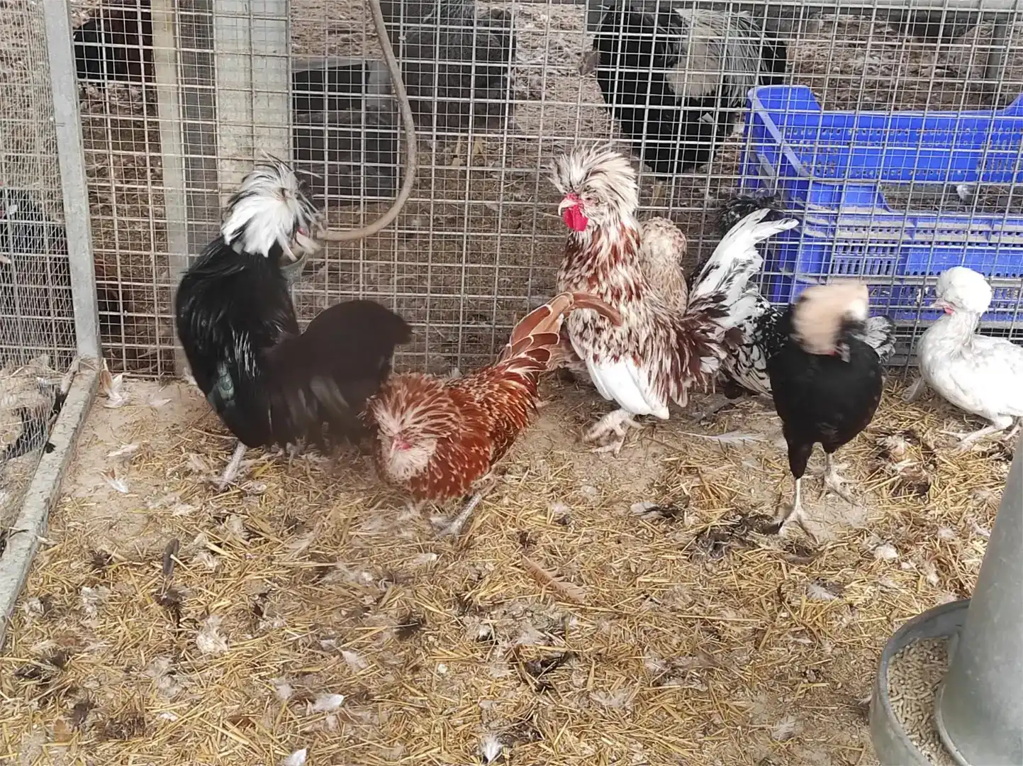 Finca rústica en venda en San Pedro del Pinatar amb Aire condicionat