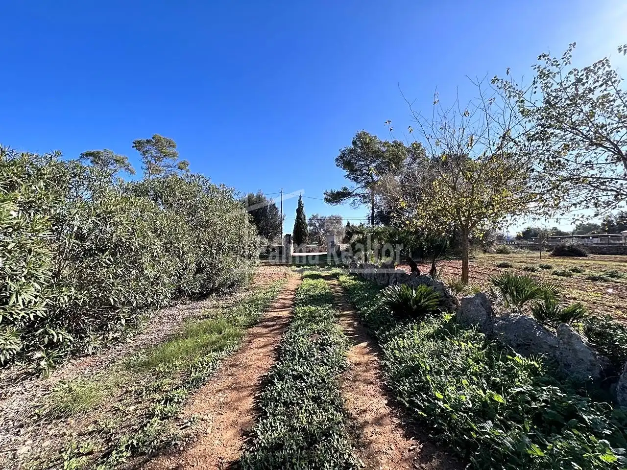 Terreno rustico in vendita a Algaida, imagen 4