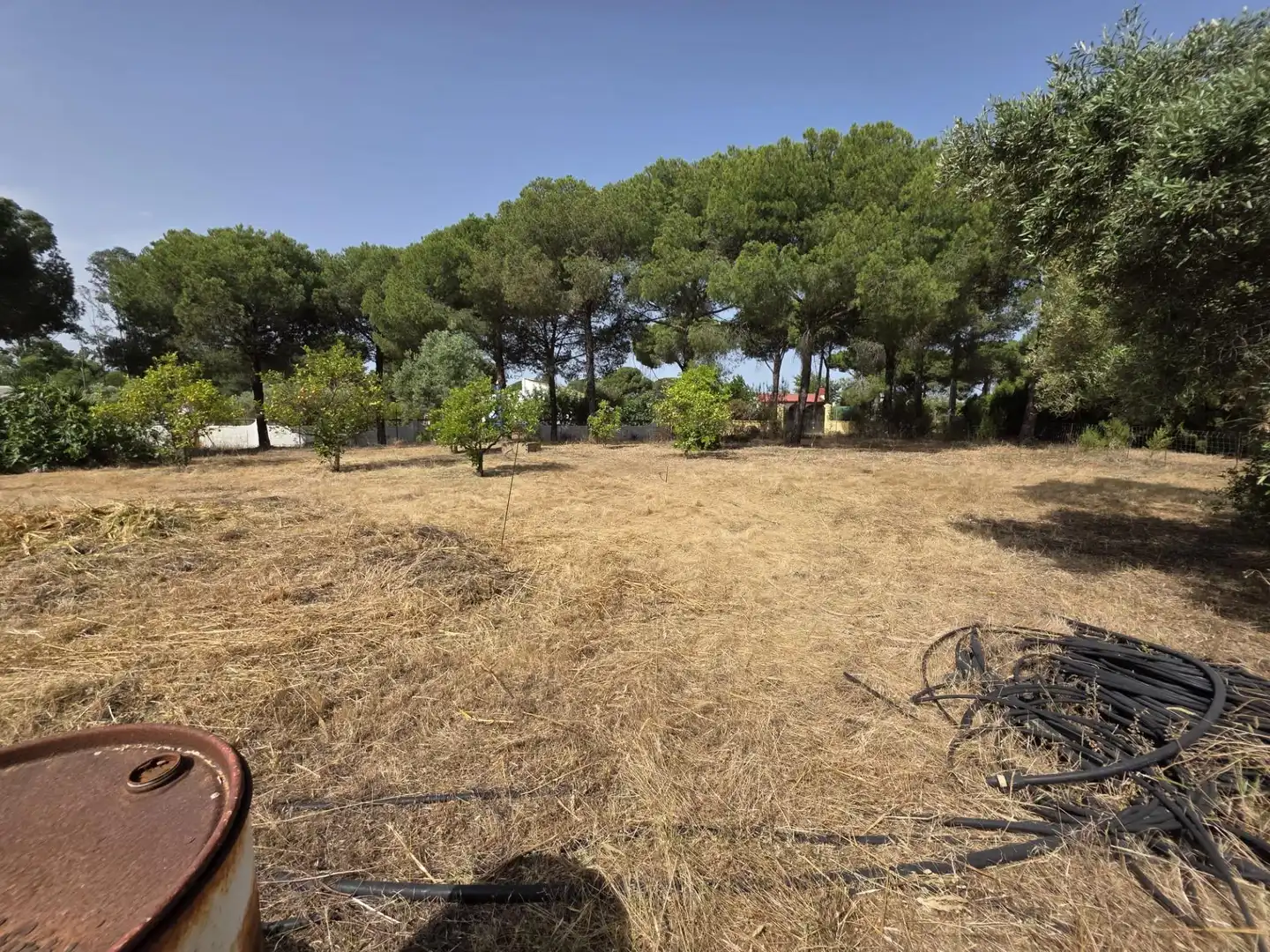 Casa o chalet en venta en Beas