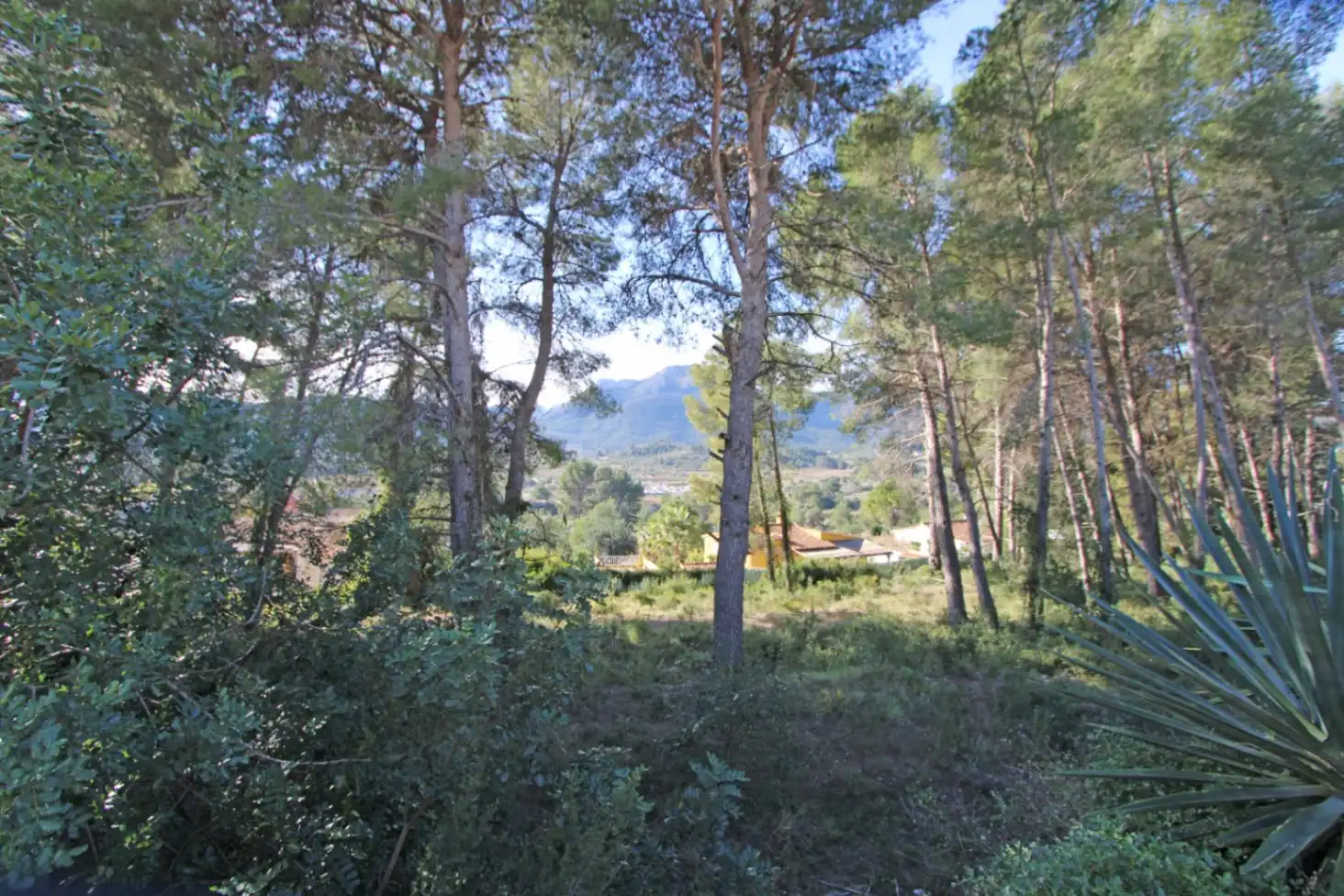 Terreny residencial en venda a Alcalalí, imagen 2
