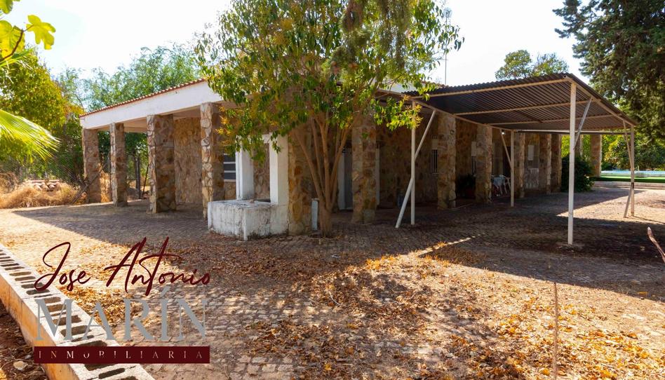 Photo 1 of House or chalet to rent in Avenida Campofrío II, Carretera de Sevilla - Los Montitos, Badajoz