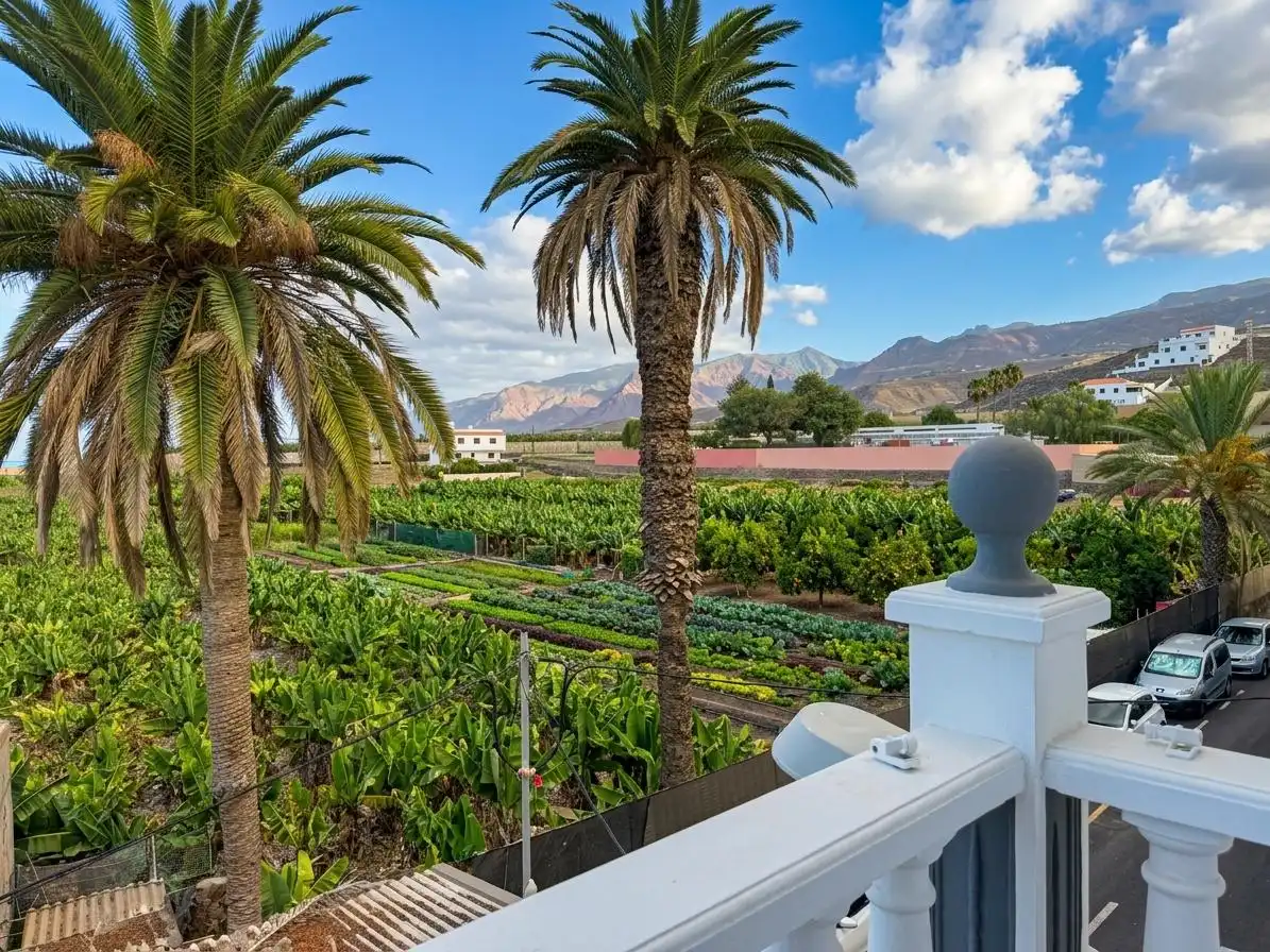 Jardí de Casa o xalet en venda en Guía de Isora amb Aire condicionat, Terrassa i Moblat