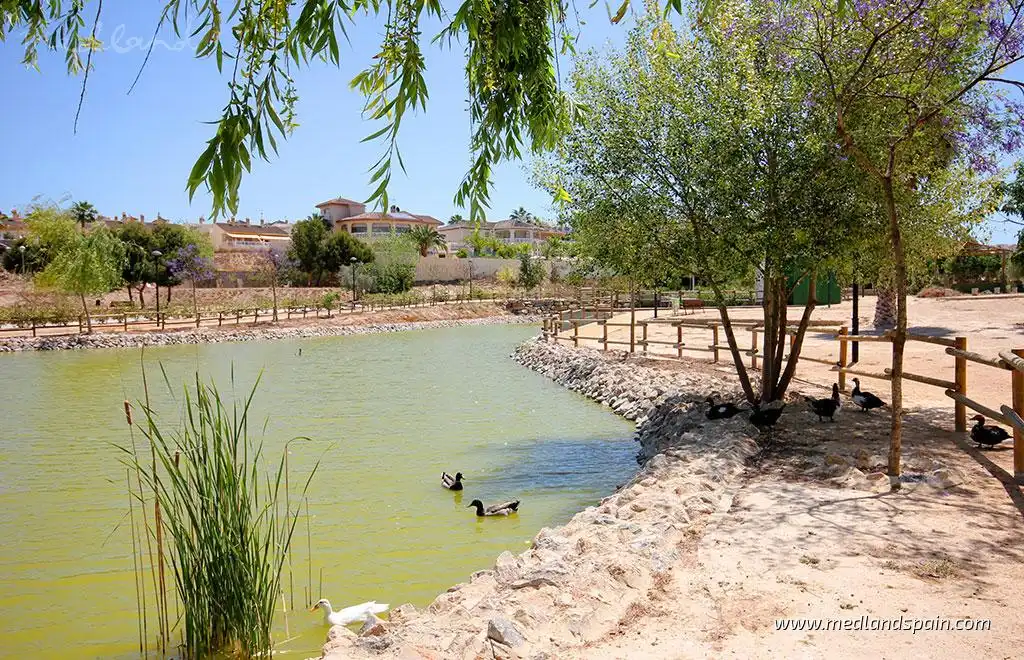 Apartamento con piscina en venta en Benijófar, imagen 14