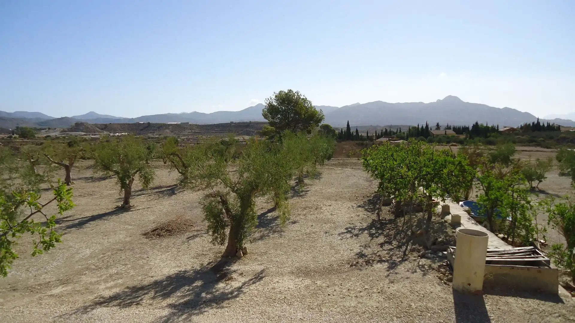 Lands and plots for sale in Abanilla, imagen 15