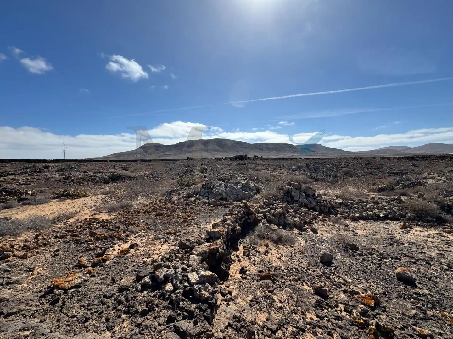 Exterior view of Land for sale in La Oliva
