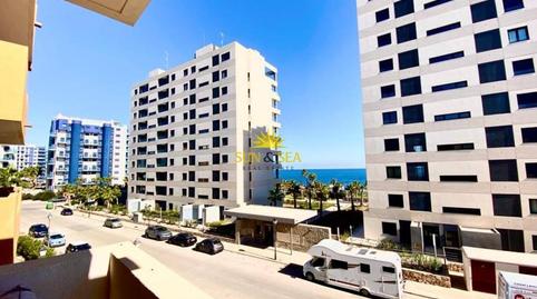 Foto 3 de Apartament de lloguer a Punta Prima, Torrevieja