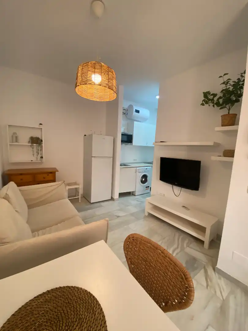Sala d'estar de Apartament de lloguer en Málaga amb Aire condicionat, Moblat i Rentadora