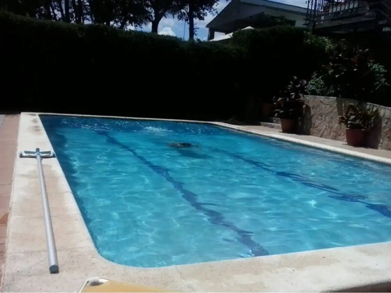 House with pool for sale in Calle sotillo 1, imagen 44