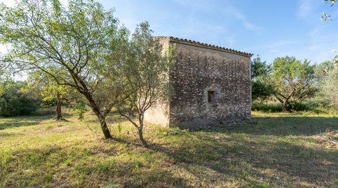 Finca rústica con masía de 2 plantas para reformar, imatge 3