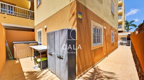 Foto 3 de Piso en venta en Jilguero, Palm - Mar, Arona