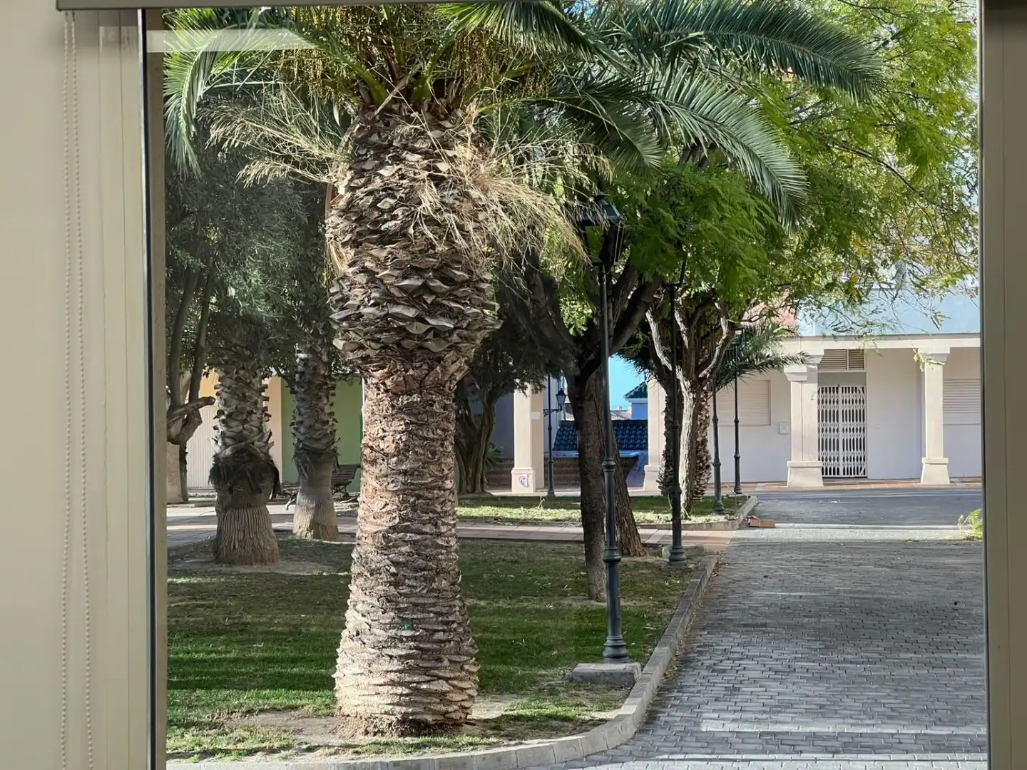 Local commercial à vendre à Bonalba - Cotoveta, imagen 7