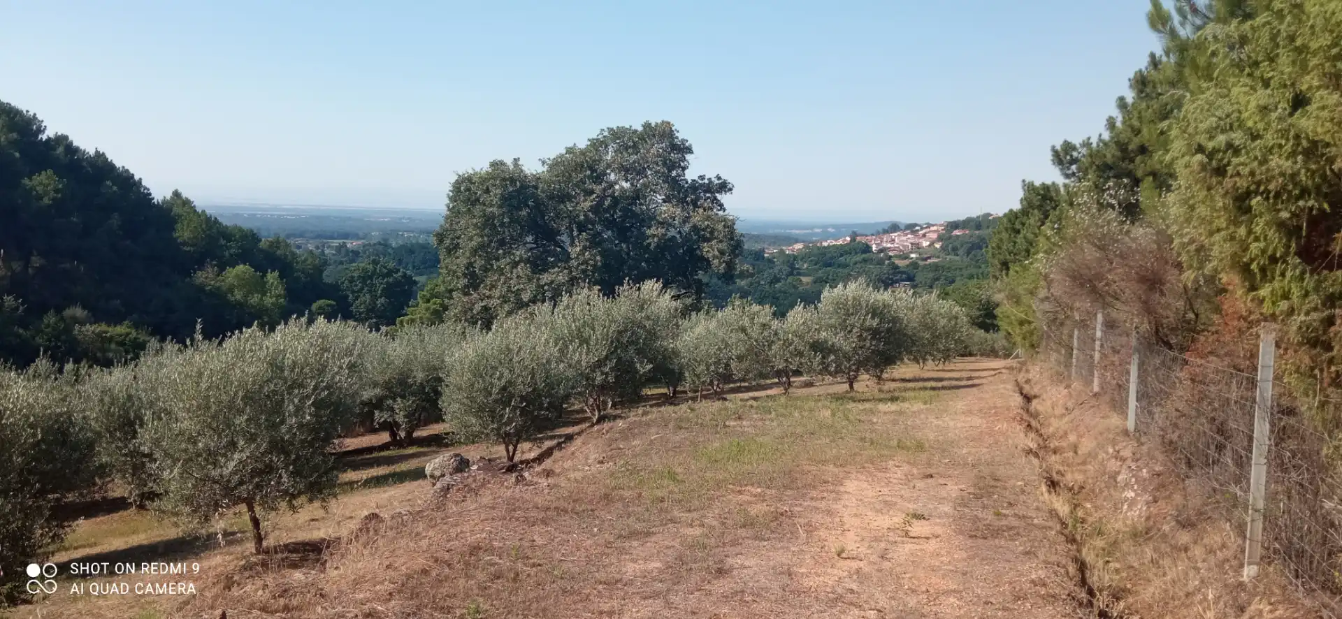 Terreno rustico in vendita a Candeleda, imagen 5