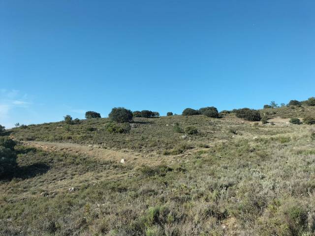 Terreno en Venta en ermita, -1 en Loranca de Tajuña