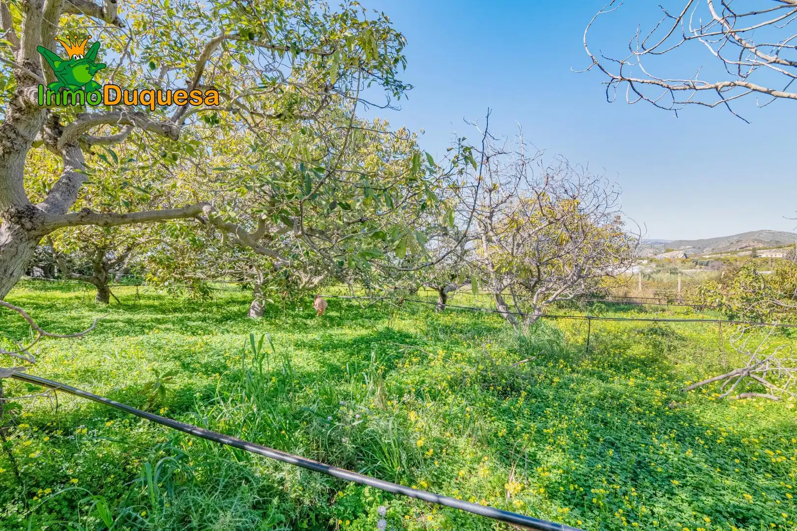 Detached house with pool for sale in Los Tablones - La Garnatilla, imagen 64