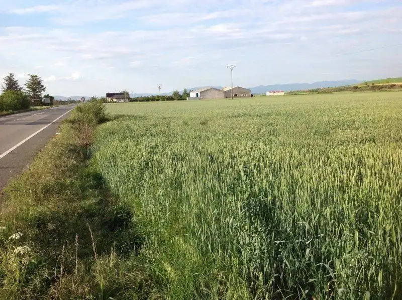Lands and plots for sale in Santo Domingo de la Calzada