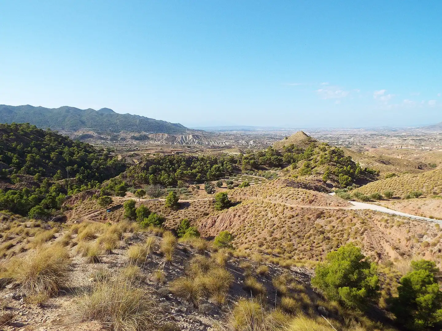 Lands and plots for sale in Abanilla