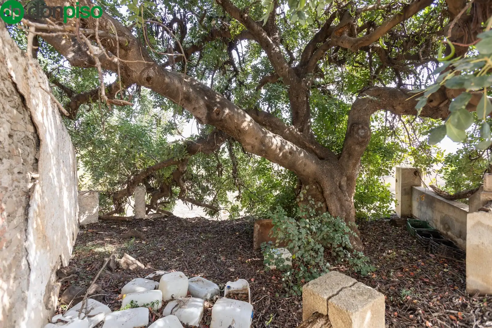 Jardí de Finca rústica en venda en Salobreña