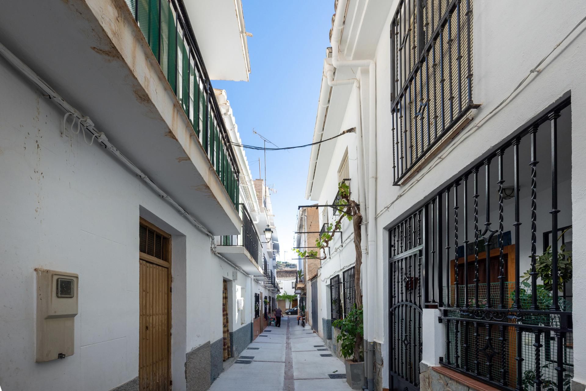 Exterior view of Country house for sale in Albuñuelas