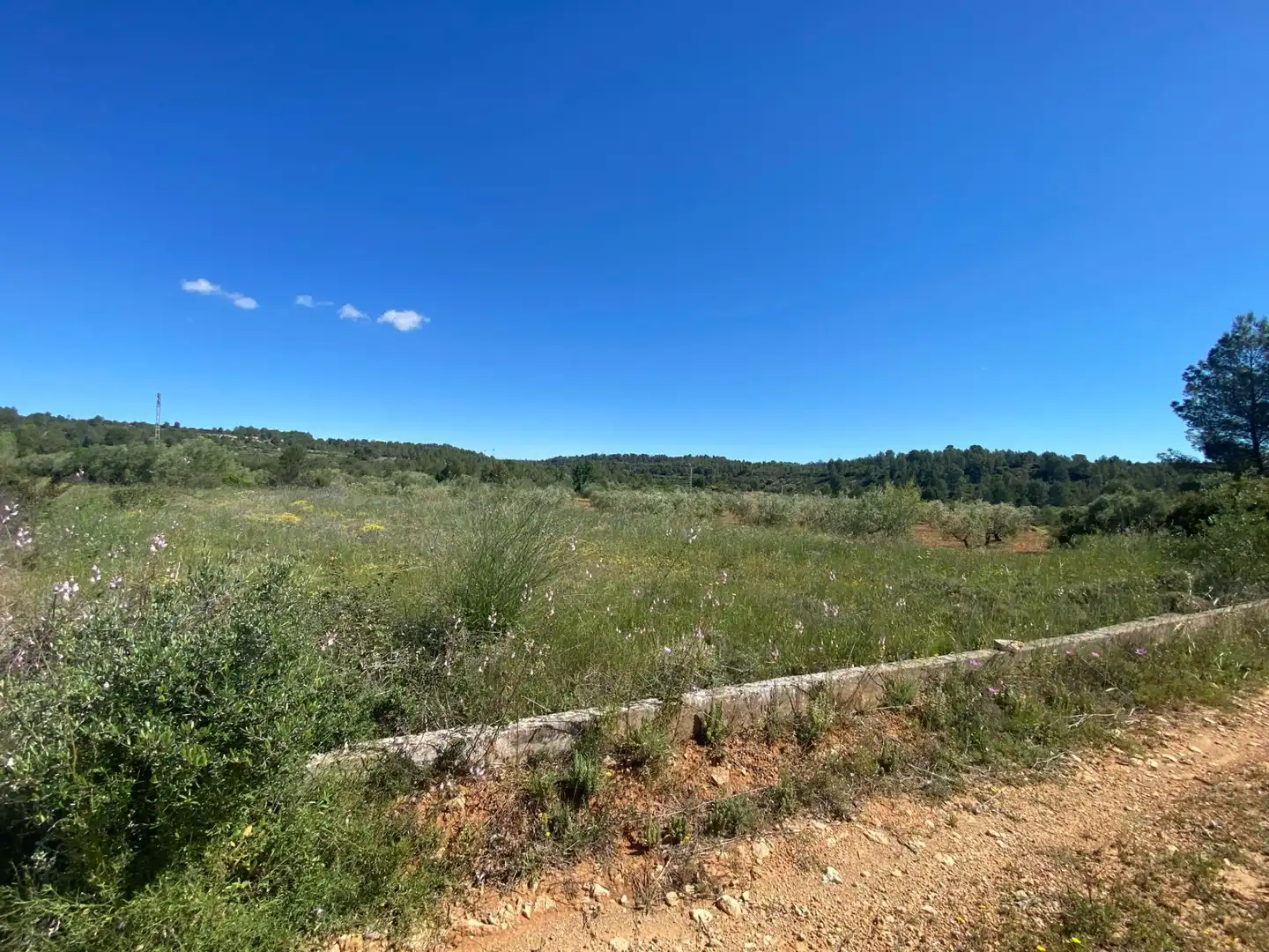 Terrain résidentiel à vendre à Chella, imagen 3