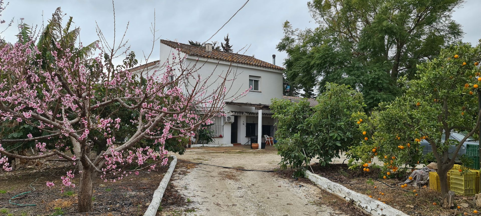 Exterior view of Country house for sale in Mijas  with Air Conditioner, Heating and Private garden