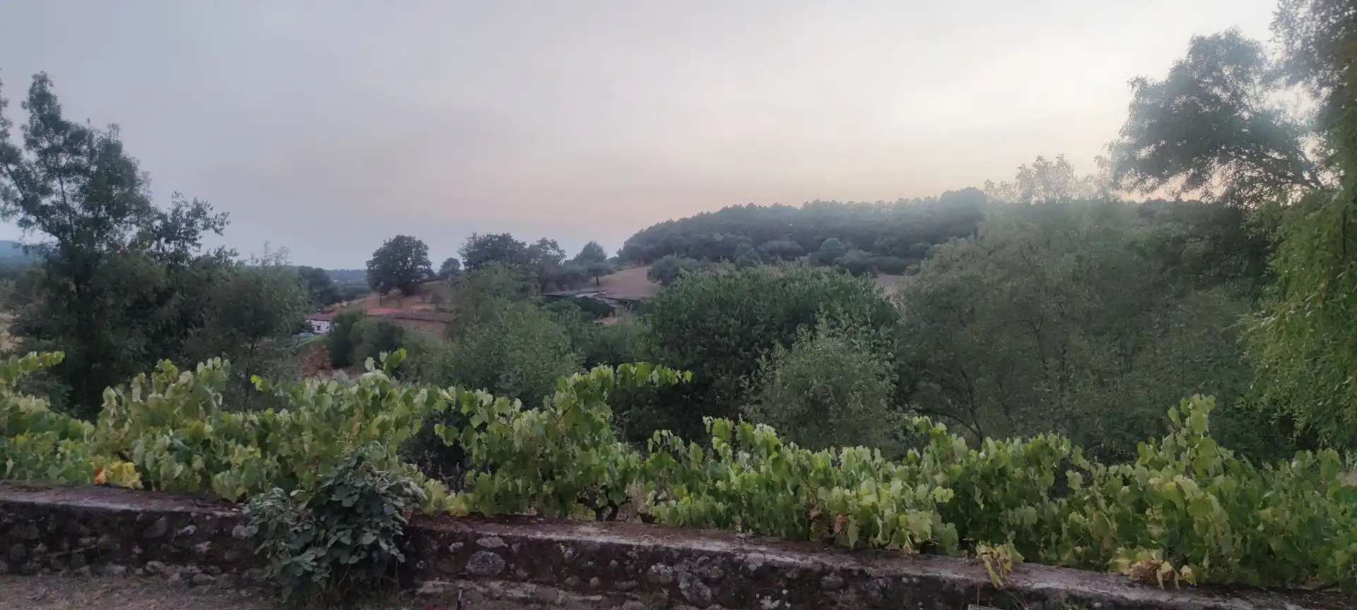 Garden of Houses for sale in Toledo  with Heating, Storage room and Furnished