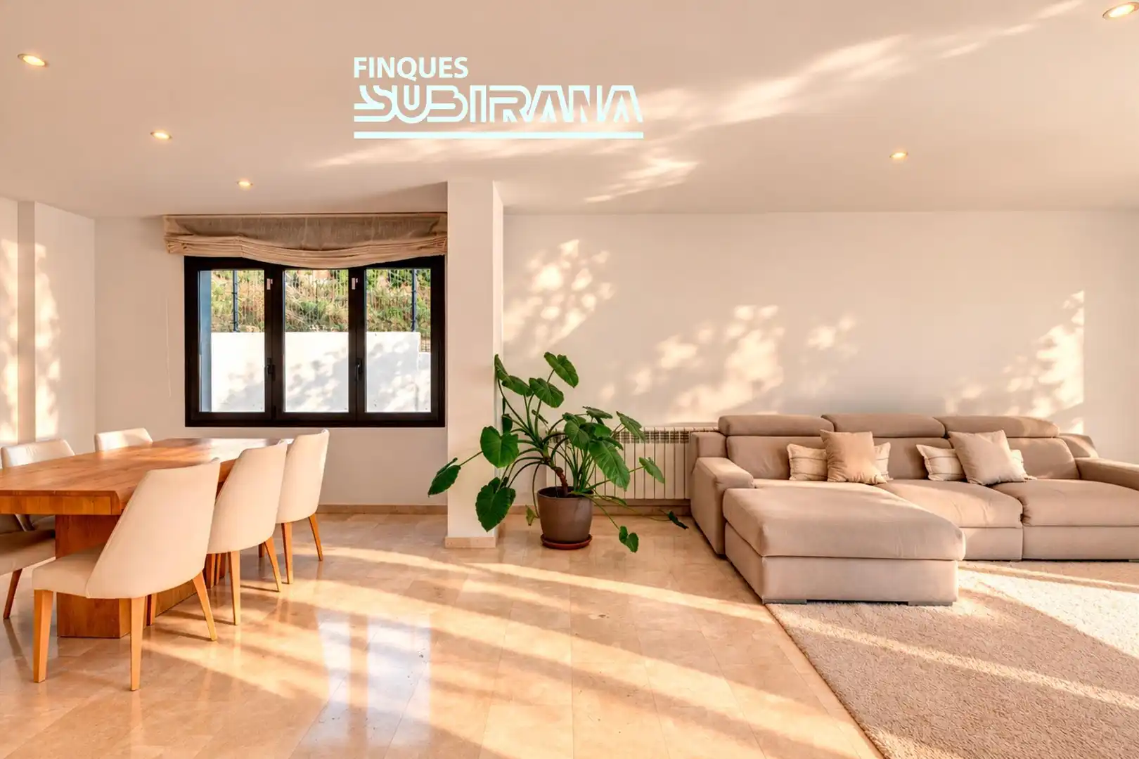 Sala de estar de Casa o chalet en venta en Sesoliveres - Pla de la Massa
