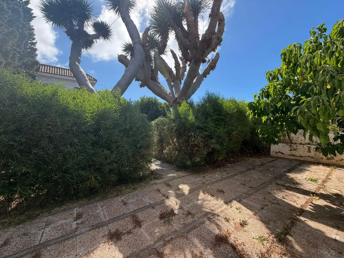 Chalet en venta en El Pris - Juan Fernández, imagen 40