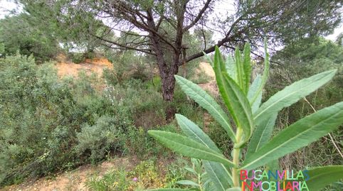 Foto 4 von Residential zum Verkauf in Urbanización las Colinas, 85, Isla Cristina Ciudad, Isla Cristina