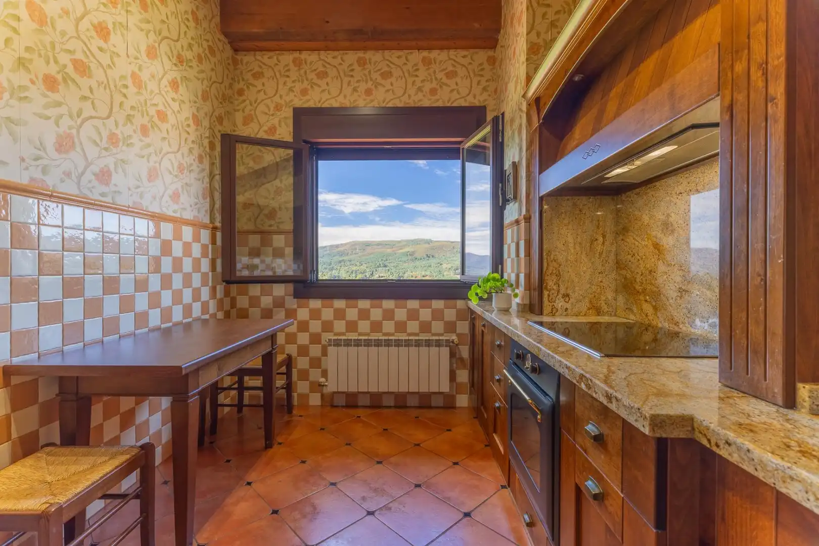 Cocina de Casa o chalet en venta en A Cañiza   con Calefacción, Jardín privado y Terraza
