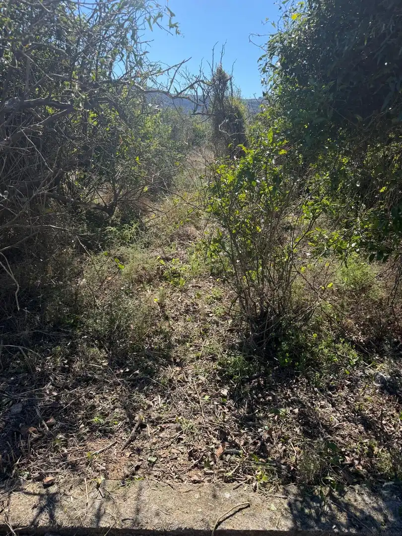 Rural land for sale in Pego, imagen 18