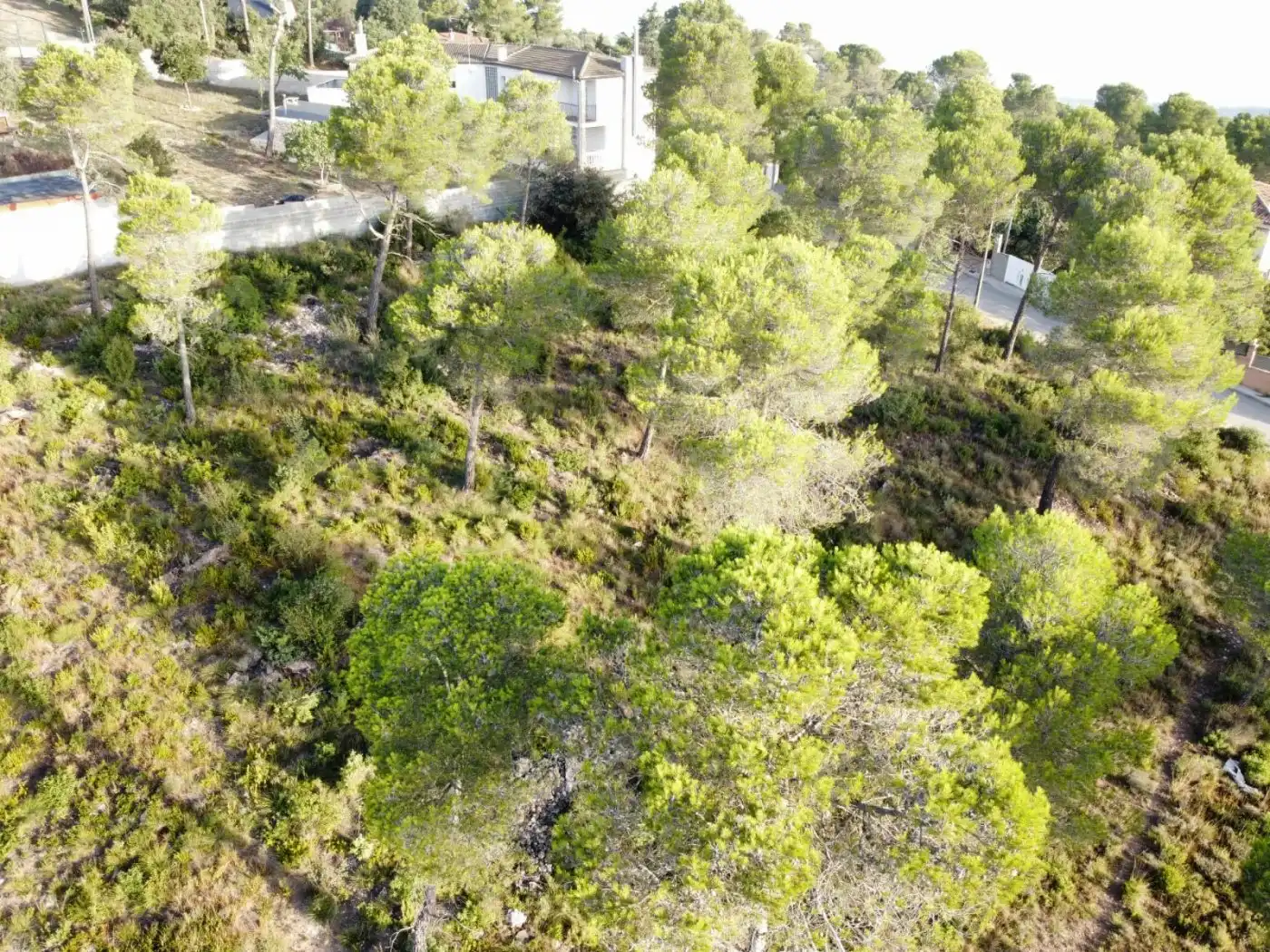 Terreny residencial en venda a La Torre de Claramunt, imagen 8