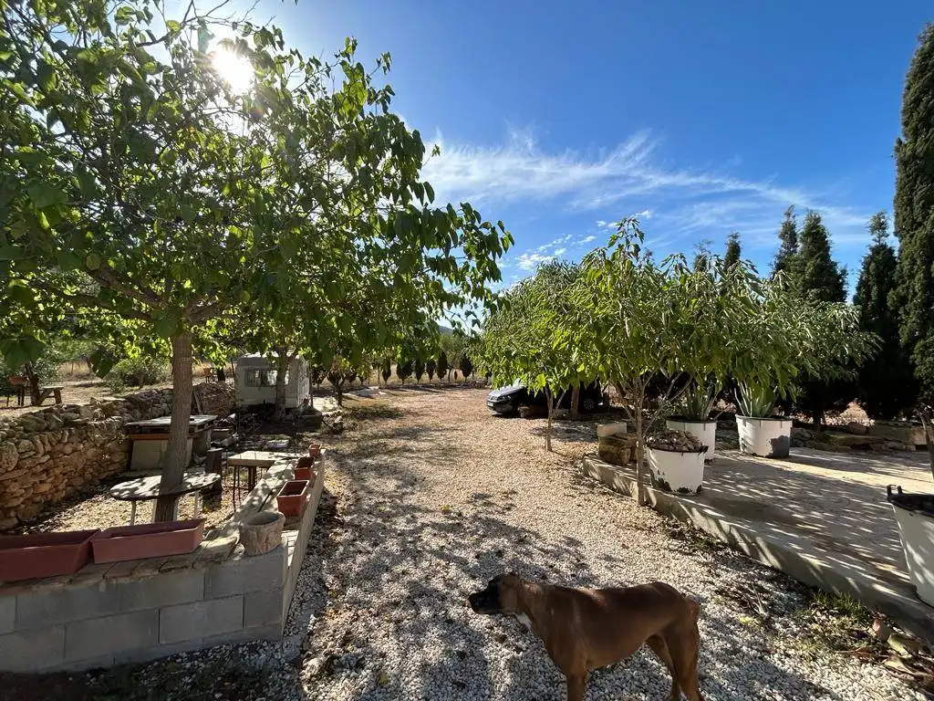 Vista exterior de Finca rústica en venda en Orihuela