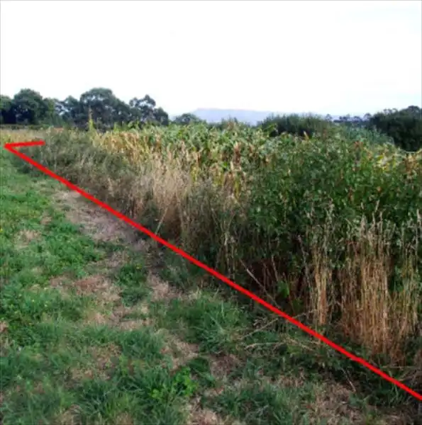 Rural land for sale in San Xoán de Poio, imagen 2