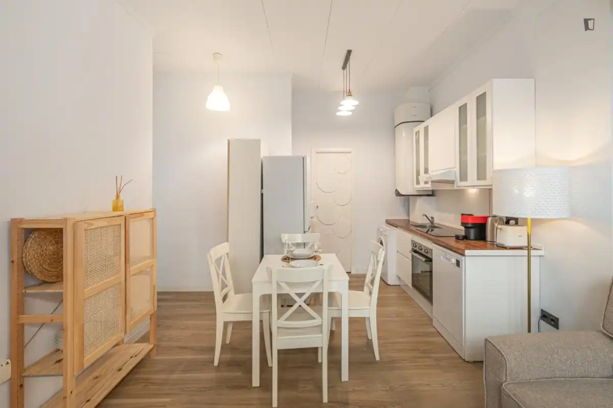 Cuina de Apartament de lloguer en Málaga amb Aire condicionat, Moblat i Forn
