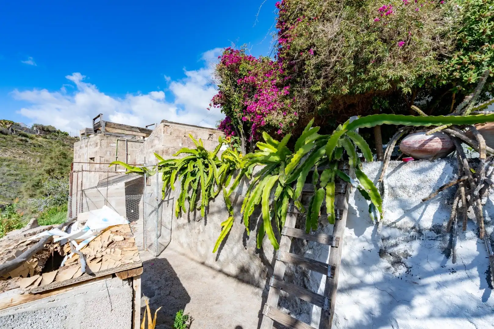 Vista exterior de Finca rústica en venta en Granadilla de Abona con Calefacción, Terraza y Amueblado