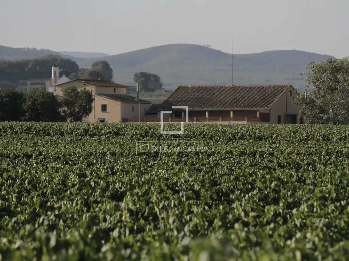 Casa rustica con giardino in vendita a Castellet i la Gornal, imagen 15