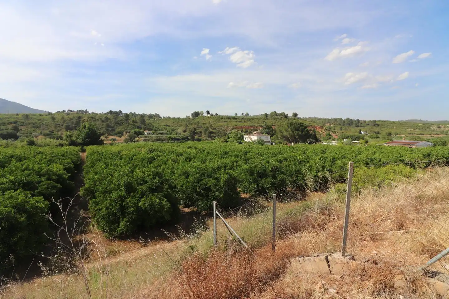 Grundstücke und Bauplätze zum Verkauf in MAESTRO CERVERA LLORET