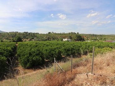 Grundstücke und Bauplätze zum Verkauf in MAESTRO CERVERA LLORET