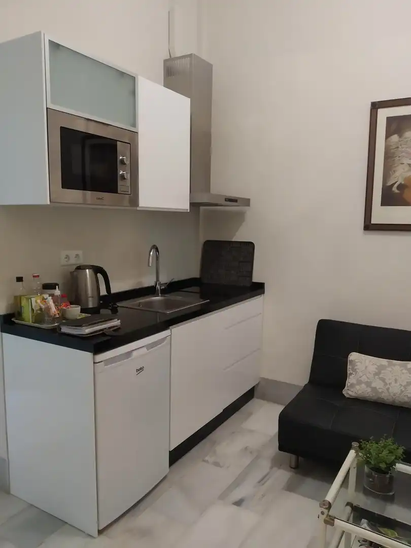Cocina de Apartamento de alquiler en Málaga con Aire acondicionado y Amueblado