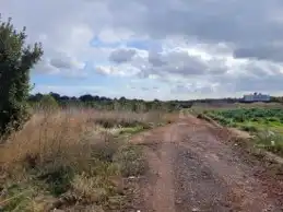 Terrain rustique à vendre à La Loma - Las Lomas, imagen 4