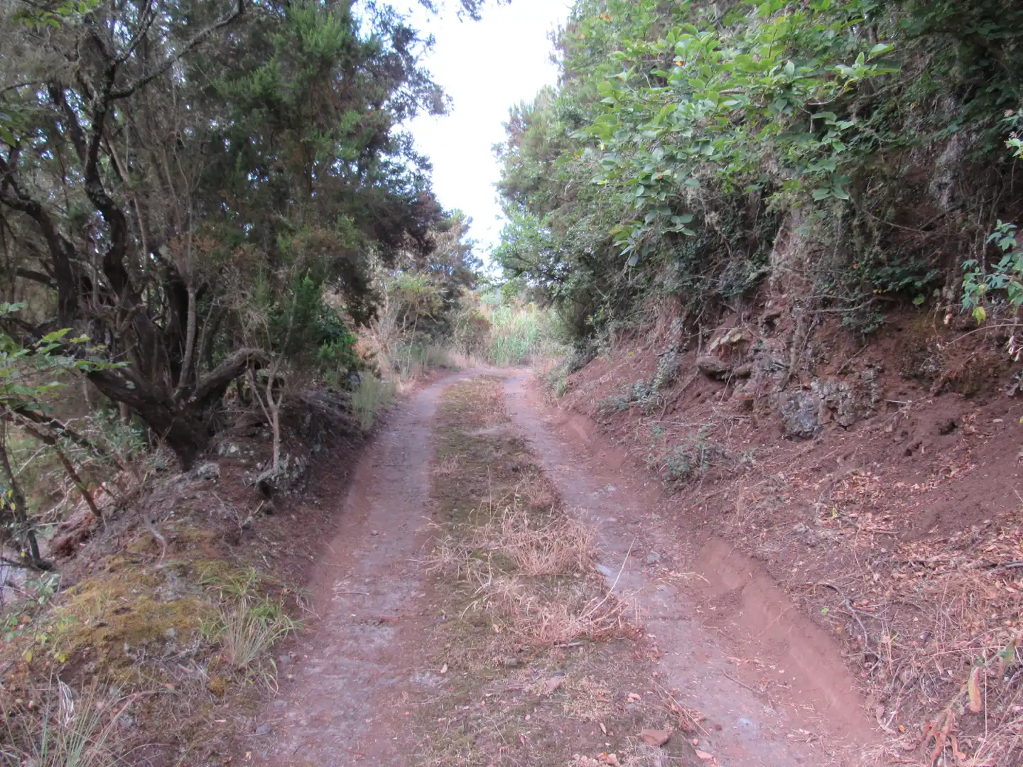 Exterior view of Land for sale in Moya (Las Palmas)
